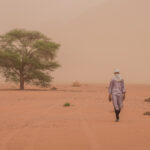 One of our desert expedition team leaves his siesta under a shady tree to return to our camp in a dust storm (image by Inger Vandyke)