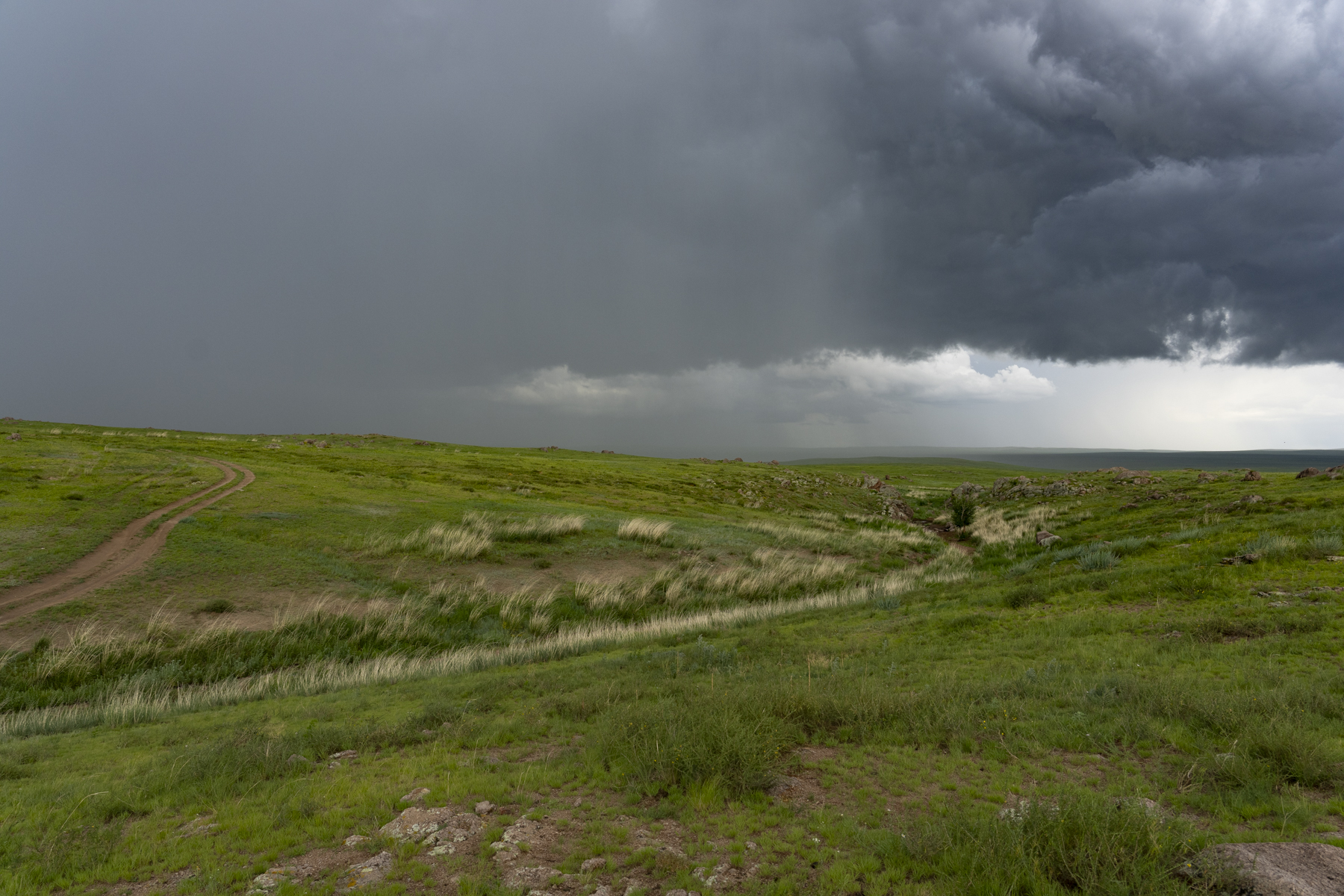Summer squall in the steppe (image by Mark Beaman)