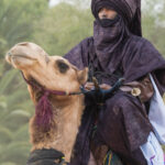 Tuareg camel rider at Sebiba (image by Inger Vandyke)
