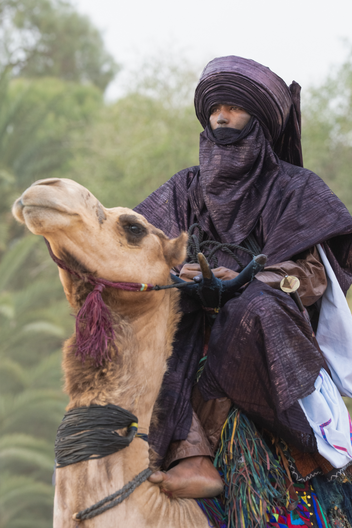 Tuareg camel rider at Sebiba (image by Inger Vandyke)