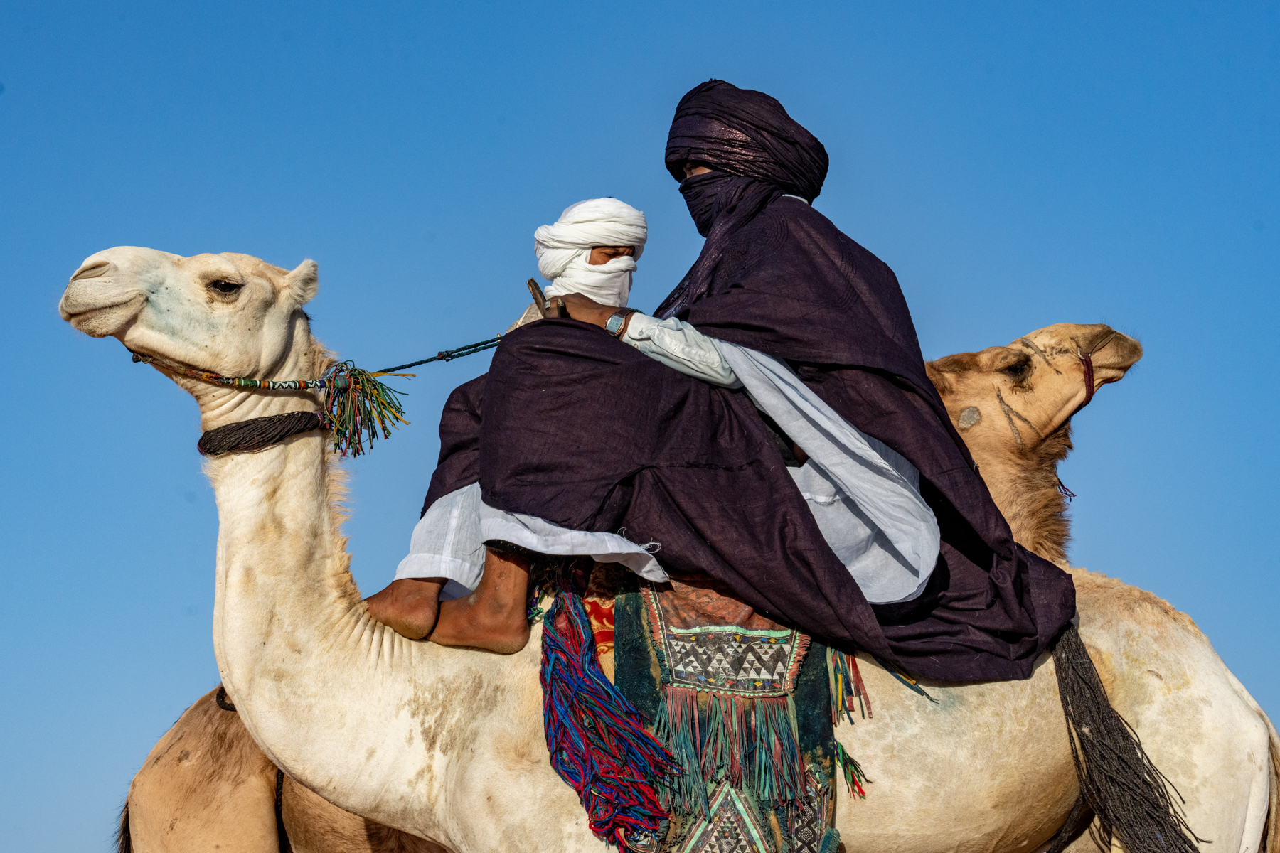 Tuareg camel riders (image by Inger Vandyke)