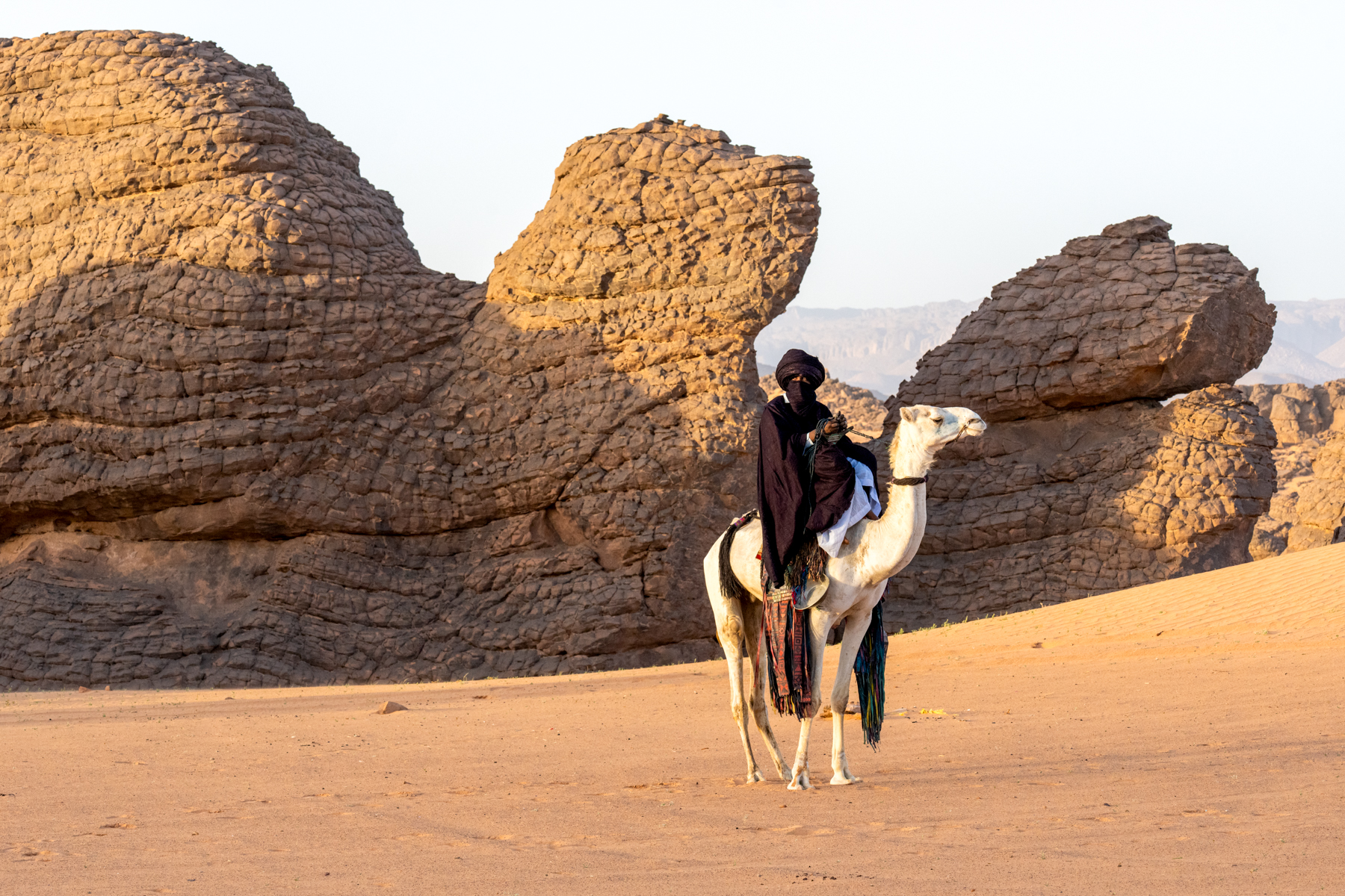 Tuareg cameleer in desert (image by Inger Vandyke)