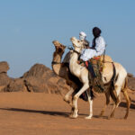 Tuareg men arrive on camels to a camel dancing ceremony (image by Inger Vandyke)