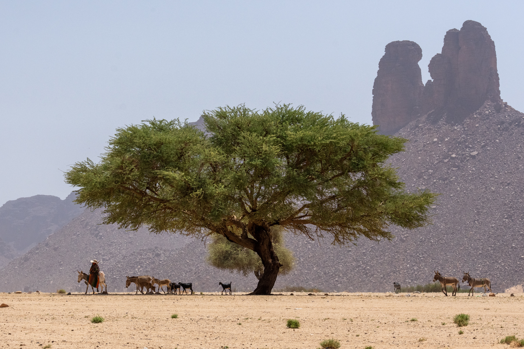 Tuareg nomads in Tassili (image by Inger Vandyke)