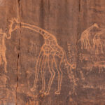 Wan Ahar is perhaps the most famous engraving site of Tadrart Rouge (image by Inger Vandyke)