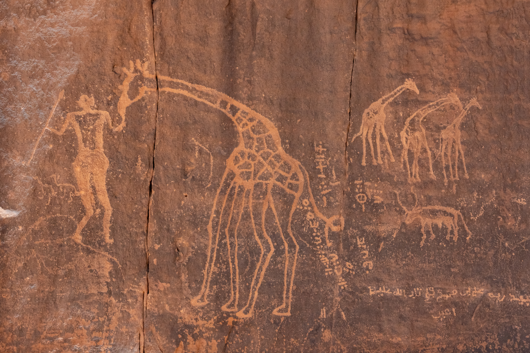 Wan Ahar is perhaps the most famous engraving site of Tadrart Rouge (image by Inger Vandyke)