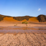 Water in Tadrart! (image by Inger Vandyke)