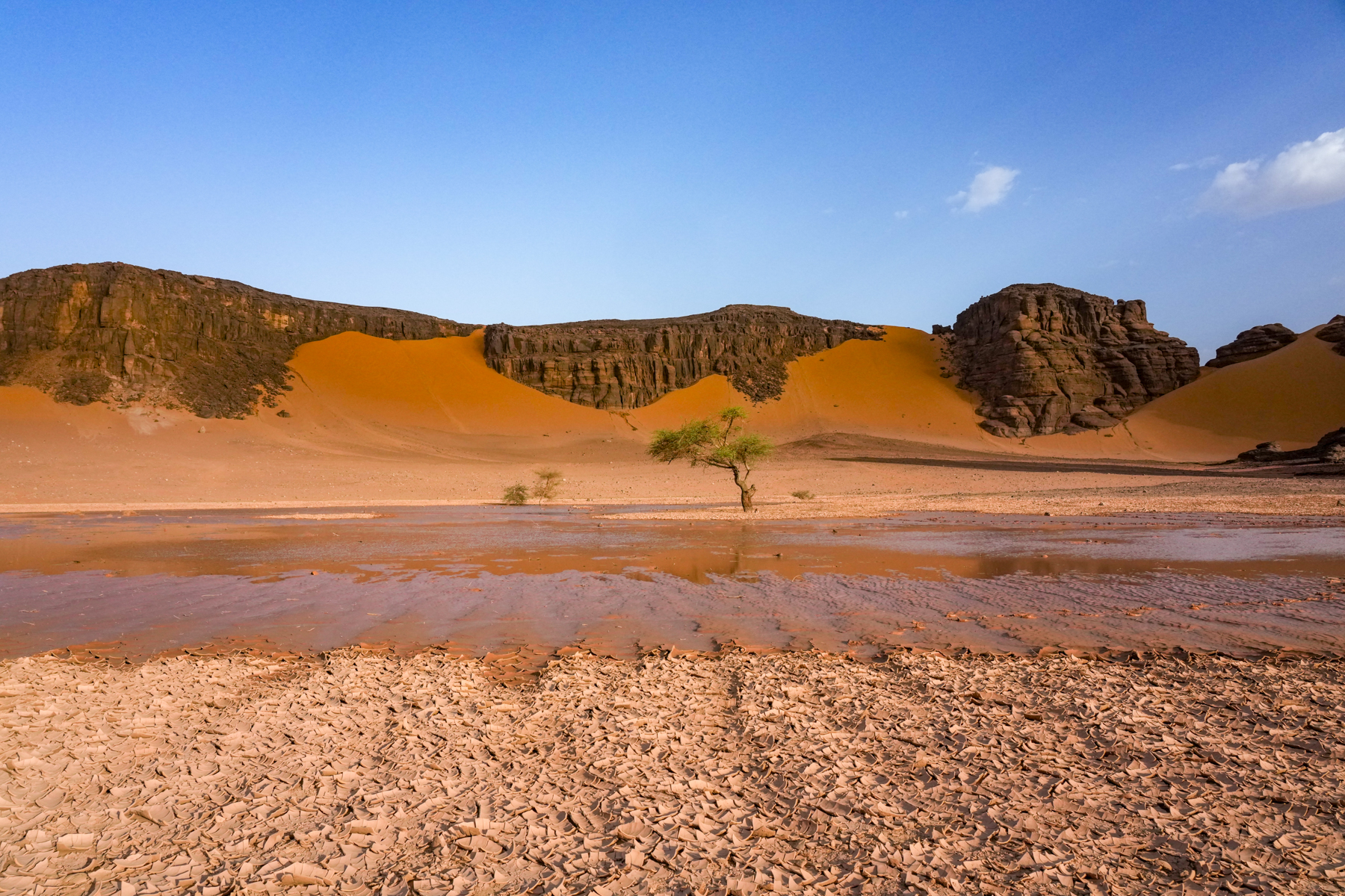 Water in Tadrart! (image by Inger Vandyke)