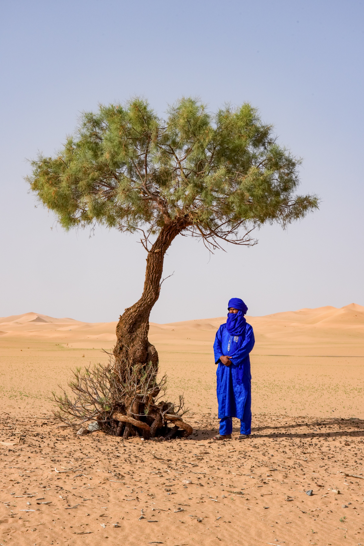 Teachers of the desert - ancient trees and the guardian of ancient wisdom (image by Inger Vandyke)
