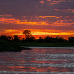 If there is a bit of cloud cover, sunrise on the Rio Cuiaba can be rather spectacular (image by Oliver Krueger)