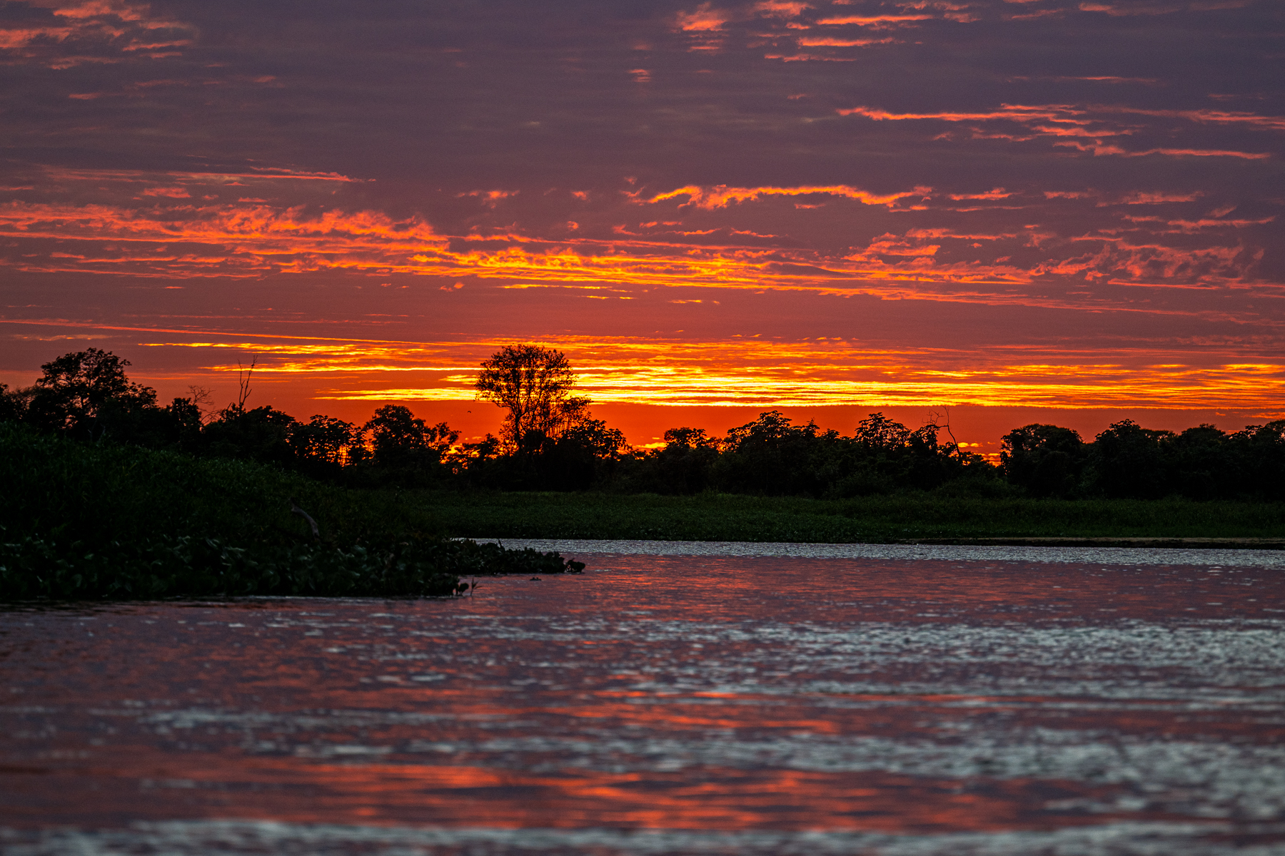 If there is a bit of cloud cover, sunrise on the Rio Cuiaba can be rather spectacular (image by Oliver Krueger)