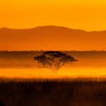 Glorious Amboseli sunrise (image by Inger Vandyke)