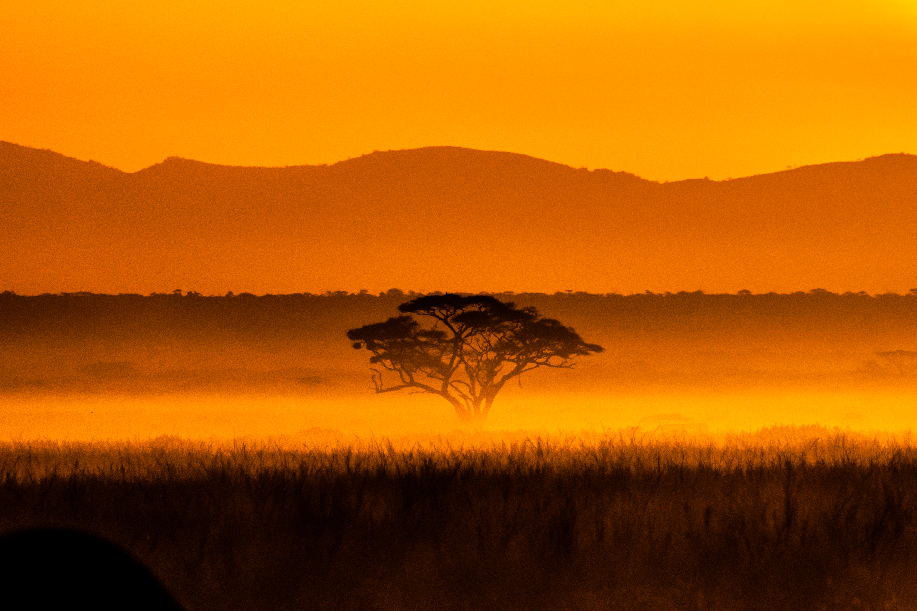 Glorious Amboseli sunrise (image by Inger Vandyke)