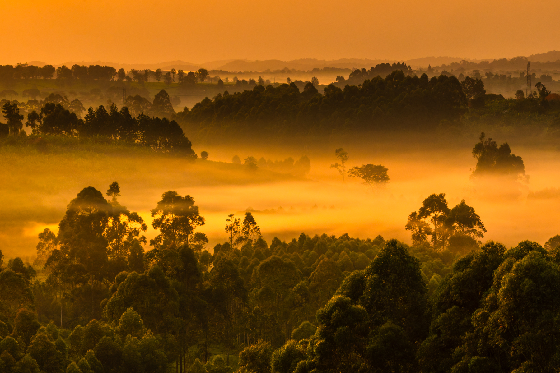 The sunrise turns the mist orange over hills near Uganda's Kibale Forest (image by Virginia Wilde)