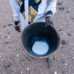 Fresh camel milk for a Gabbra family's breakfast (image by Inger Vandyke)