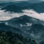 The Ugandan Highlands can look more like waves than hills, with clouds pooling in the valleys below. Every layer seems to reveal another ridge beyond it (image by Virginia Wilde)