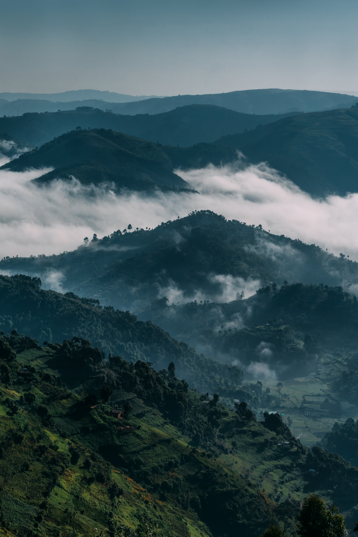 The Ugandan Highlands can look more like waves than hills, with clouds pooling in the valleys below. Every layer seems to reveal another ridge beyond it (image by Virginia Wilde)