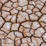 The cracked clay pan of dry season in the Chalbi Desert, Kenya (image by Inger Vandyke)