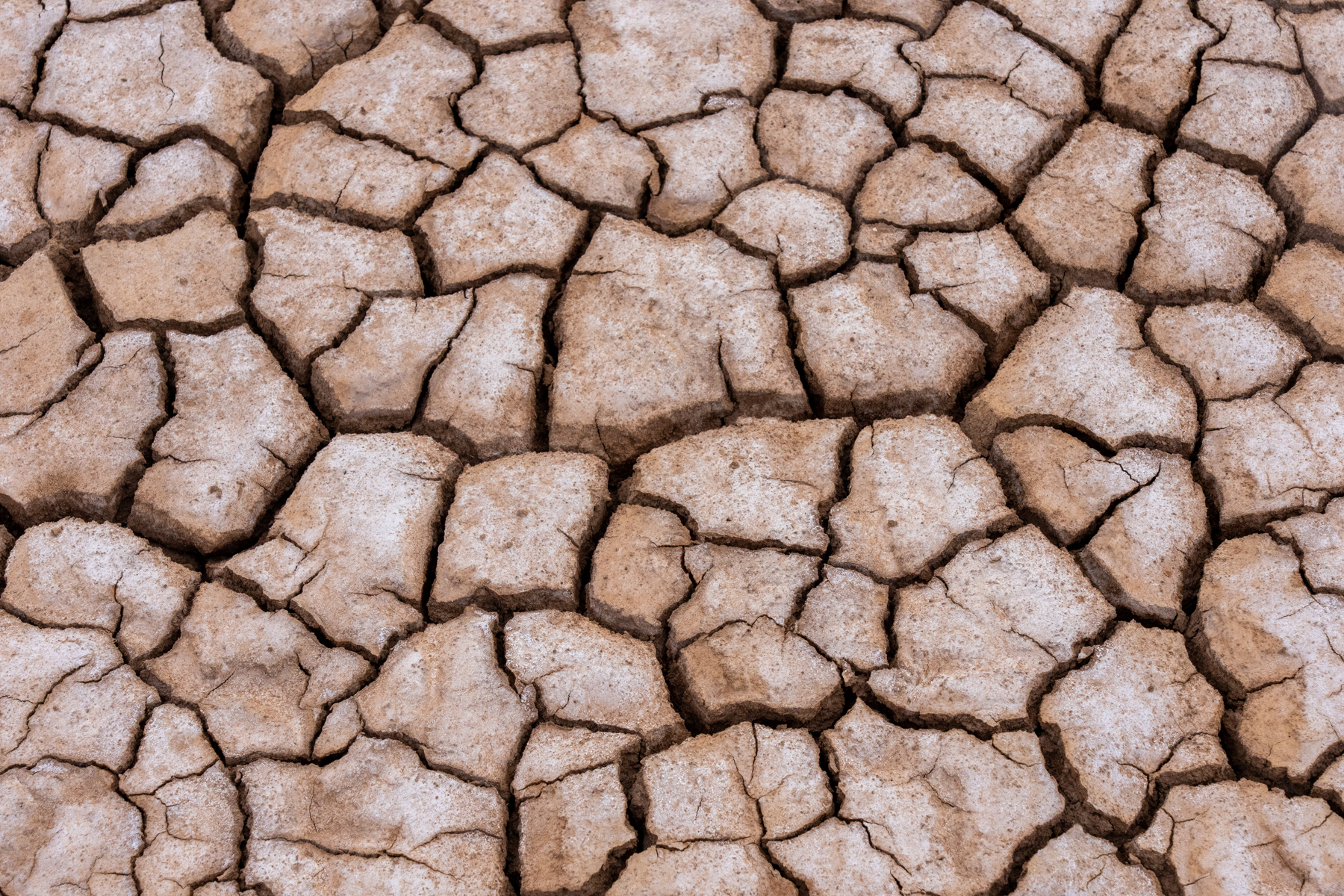 The cracked clay pan of dry season in the Chalbi Desert, Kenya (image by Inger Vandyke)