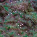 Flying over the marshes (image by Inger Vandyke)