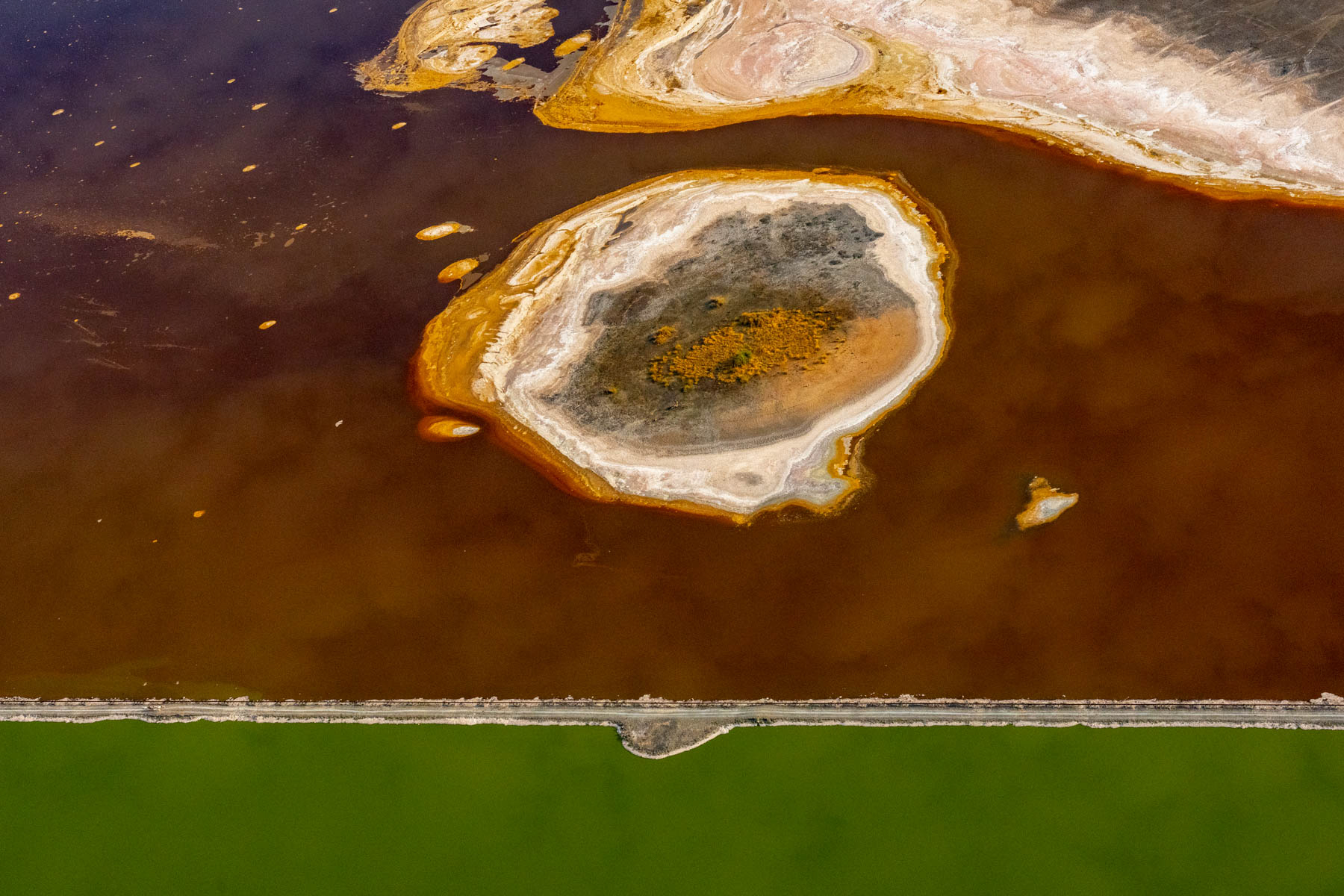 Green and brown in Magadi (image by Inger Vandyke)