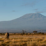 A mother elephant with her youngsters in front of Kilimanjaro (image by Inger Vandyke)