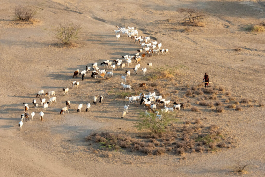 A Maasai herder at sunset (image by Inger Vandyke)