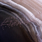 Magadi flamingo abstract. When you are constantly seeing so much beauty, you can feel overwhelmed (image by Inger Vandyke)