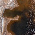 Flamingo abstract at Lake Magadi (image by Inger Vandyke)