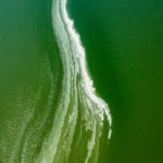 Swirls of green in Magadi (image by Inger Vandyke)