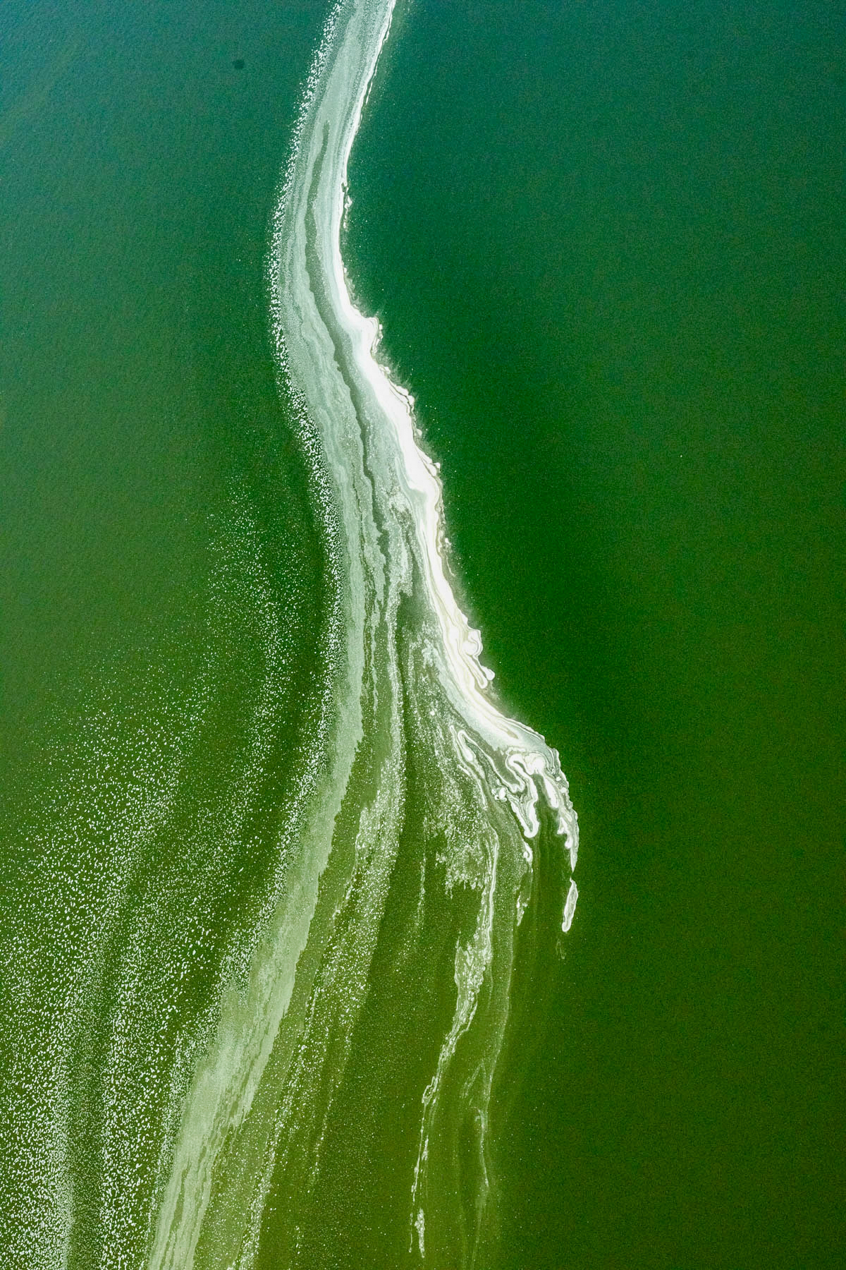 Swirls of green in Magadi (image by Inger Vandyke)