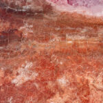 Details of Magadi's pink salt (image by Inger Vandyke)