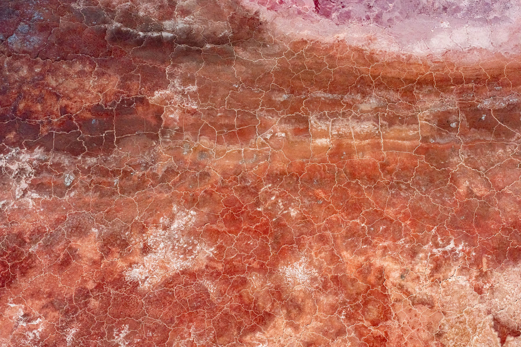 Details of Magadi's pink salt (image by Inger Vandyke)