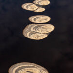 The 'shells' of Magadi (image by Inger Vandyke)