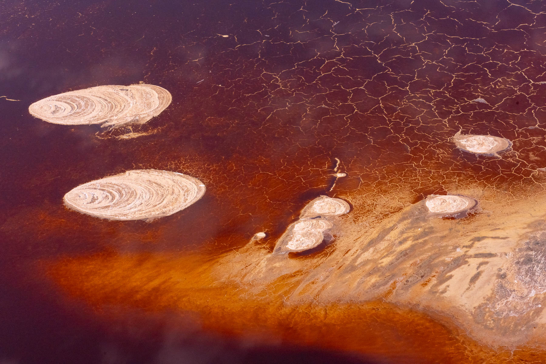 Magadi has many wild formations but my favourites were these ones that looked like seashells from the sky (image by Inger Vandyke)