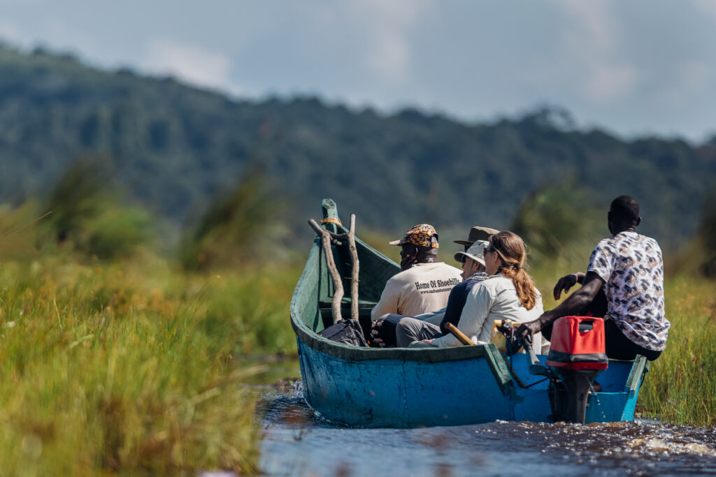 Motoring out into the Mabamba Swamp to find Shoebills in Uganda (image by Virginia Wilde)