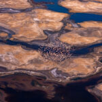 Magical Lake Natron and its flamingo flocks (image by Inger Vandyke)