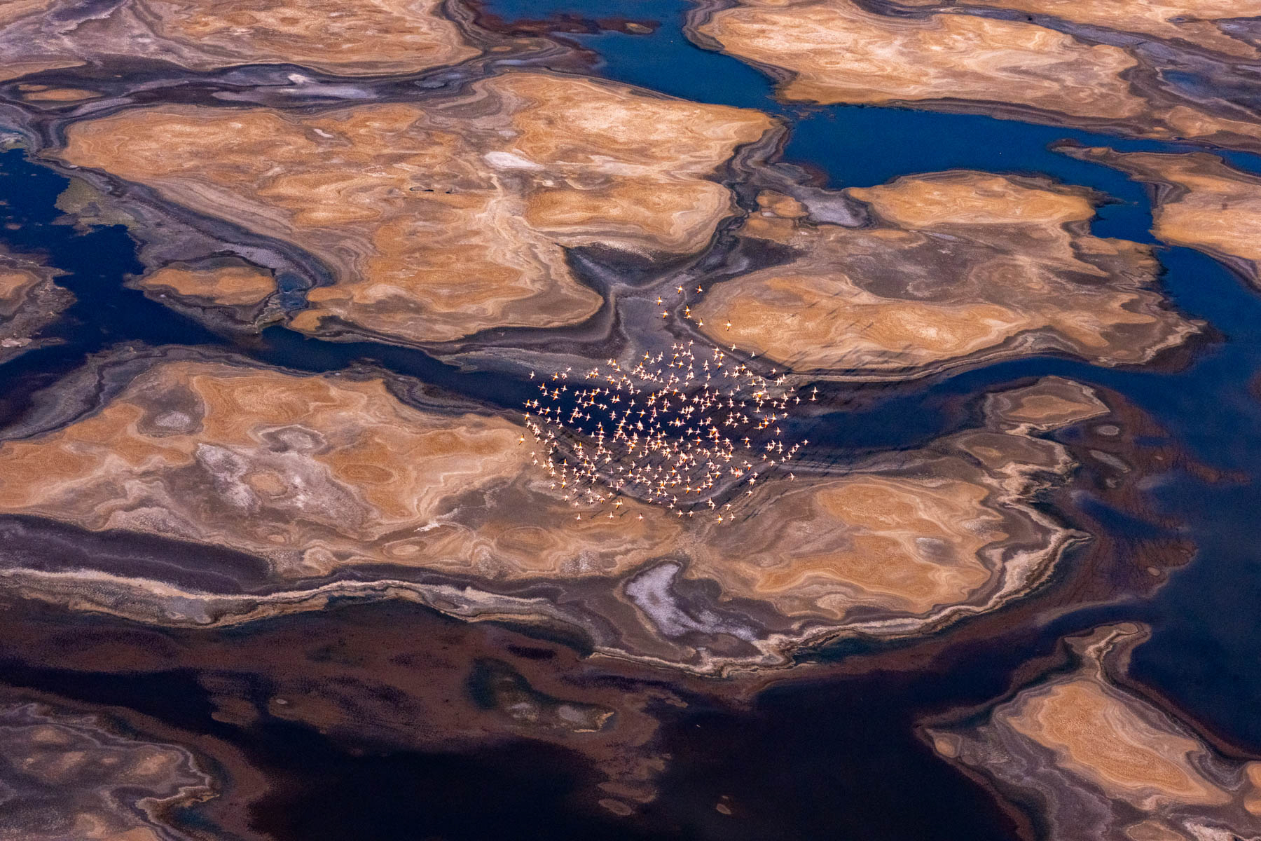 Magical Lake Natron and its flamingo flocks (image by Inger Vandyke)