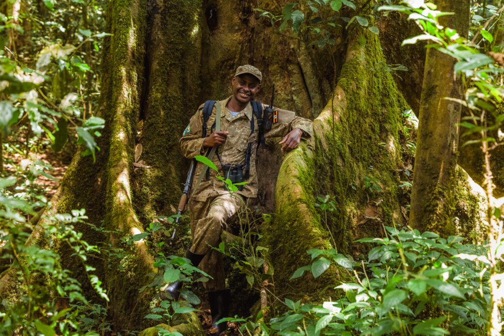 Introducing Seth, one of the incredible local guides who made our 2026 Uganda tour so successful. Seth guided us through three Chimpanzee treks in Kibale National Park (image by Virginia Wilde)