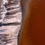 The pink tide (image by Inger Vandyke)