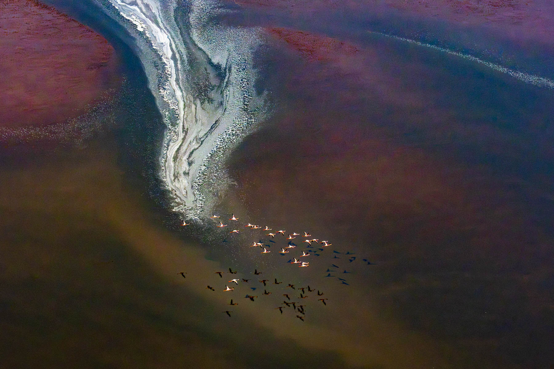 Pretty in pink in Lake Magadi (image by Inger Vandyke)