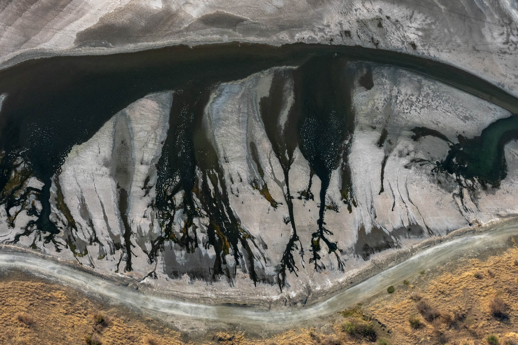 Some of Lake Magadi's formations look like you are fling over another planet and this one reminded me of the eye of a gecko (image by Inger Vandyke)