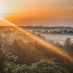 Uganda gave us some incredible sunrises, particularly when the mist shrouded the valleys (image by Virginia Wilde)