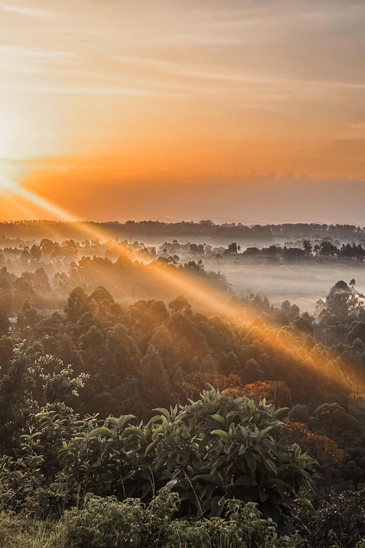 Uganda gave us some incredible sunrises, particularly when the mist shrouded the valleys (image by Virginia Wilde)