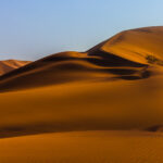 The sweeping sand dunes of the Namib Desert, on the outskirts of Swakopmund. When light hits these curves of sand, the colours can change from copper to burnt orange, depending on the interplay of light and shadow (image by Virginia Wilde)