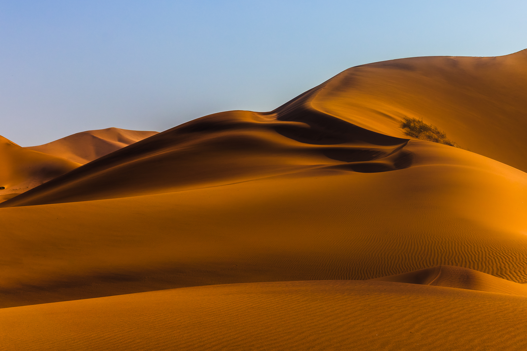 The sweeping sand dunes of the Namib Desert, on the outskirts of Swakopmund. When light hits these curves of sand, the colours can change from copper to burnt orange, depending on the interplay of light and shadow (image by Virginia Wilde)