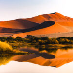 Sossusvlei's iconic curving dunes reflected in a rare pool of water. The main Sossusvlei pan only fills when the Tsauchab River gets enough water from heavy rainfall to make it all the way through the desert to the pan - which only happens around once a decade. When flooding does happen, the pan becomes a shallow lake, reflecting the dunes (image by Virginia Wilde)