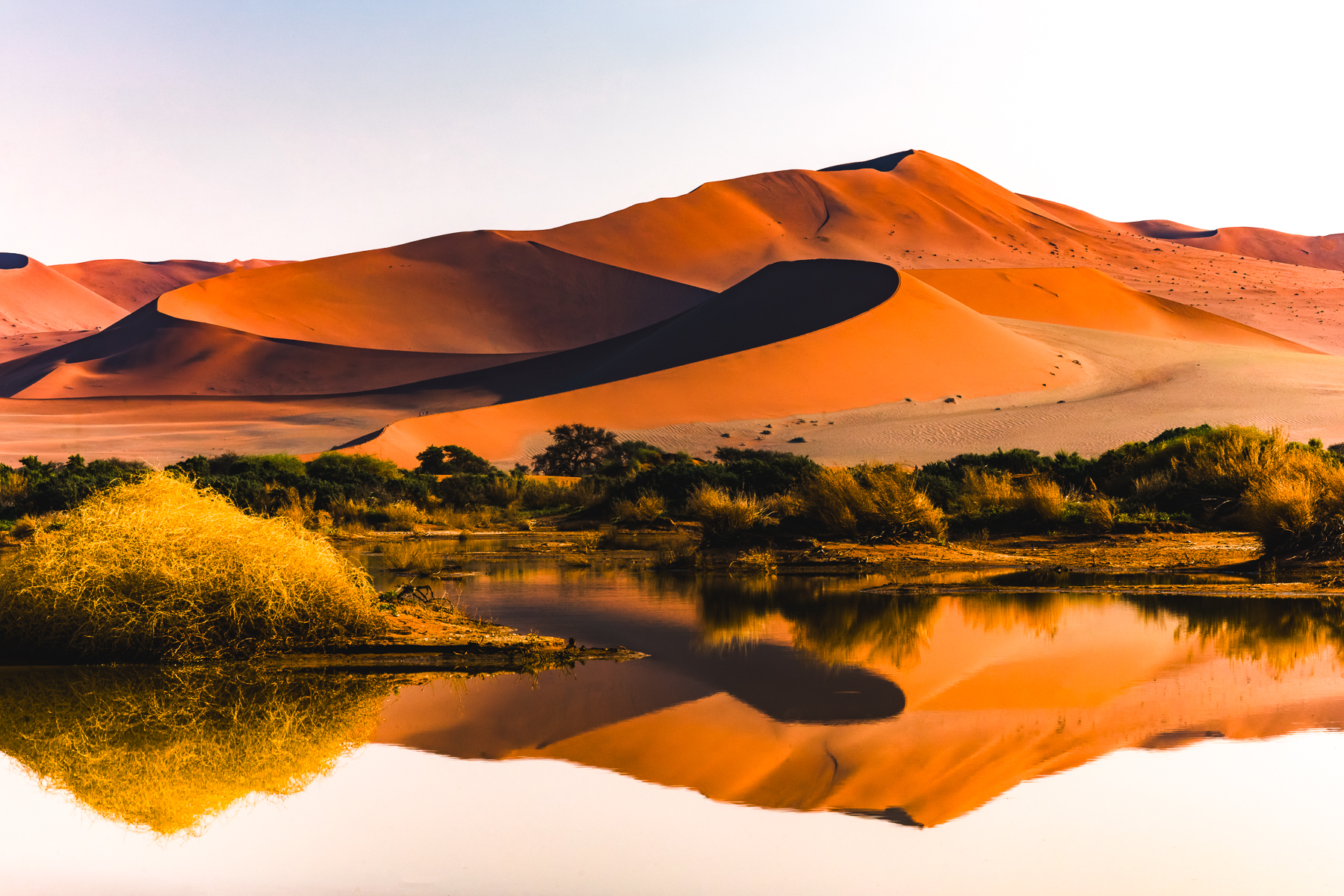 Sossusvlei's iconic curving dunes reflected in a rare pool of water. The main Sossusvlei pan only fills when the Tsauchab River gets enough water from heavy rainfall to make it all the way through the desert to the pan - which only happens around once a decade. When flooding does happen, the pan becomes a shallow lake, reflecting the dunes (image by Virginia Wilde)