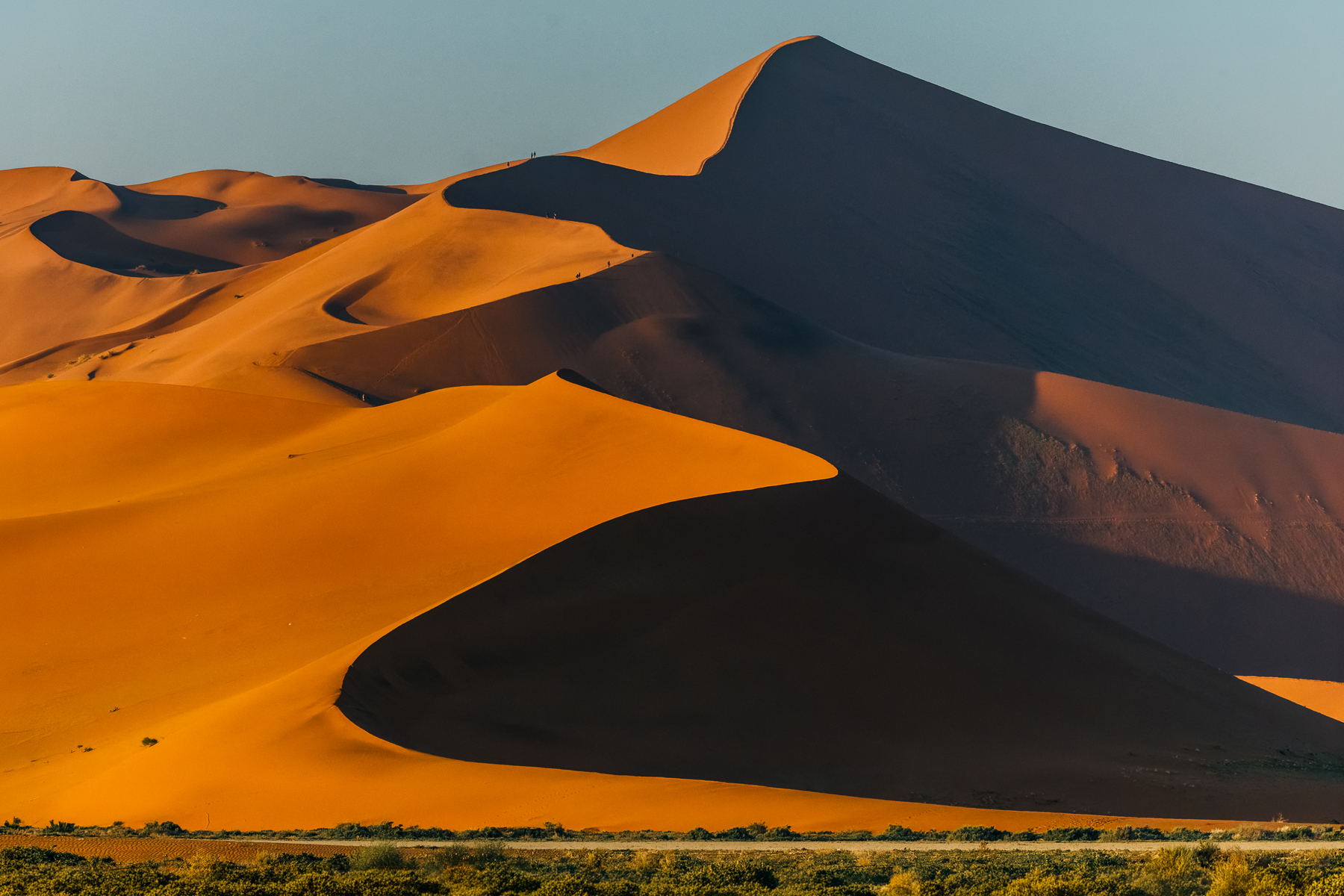 'Big Daddy', the highest dune at Sossusvlei, with its enormous, shadowed face contrasting with the orange ridges as they hit the morning light. The sand in Sossusvlei is so red in tone due to the iron oxide - essentially rust - coating the individual quartz sand grains. Older sand tends to be redder as it's had longer for the iron coating to develop (image by Virginia Wilde)