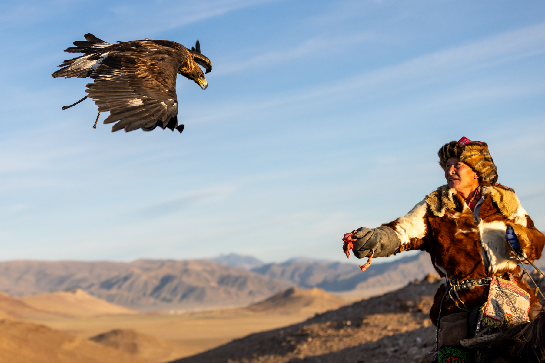 Shakiru training with his golden eagle. The eagle is released from high on the mountain and responds to his call, flying down to land on his gloved hand (image by Ingrid Koedood)
